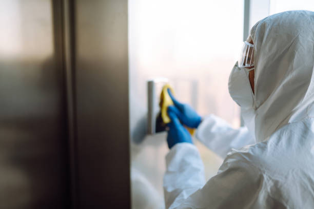 Best Mold Remediation  in USA